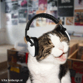 gato-audifonos